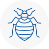 Bed Bug Extermination In Leighton Buzzard