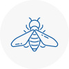 Bee Nest Removal Leighton Buzzard