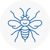 Leighton Buzzard Hornet Nest Removals