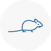 Mice Exterminators In Leighton Buzzard
