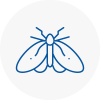 Moth Control Specialists In Leighton Buzzard