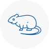 Rat Control Leighton Buzzard