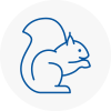 Leighton Buzzard Rodent Removals